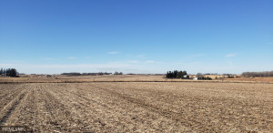 Photo for TBD CTY 2, Chatfield, MN 55923 - Listing #5692577 TBD CTY 2, Chatfield, MN 55923