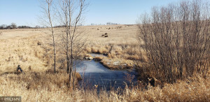 Photo for TBD CTY 2, Chatfield, MN 55923 - Listing #5692577 TBD CTY 2, Chatfield, MN 55923
