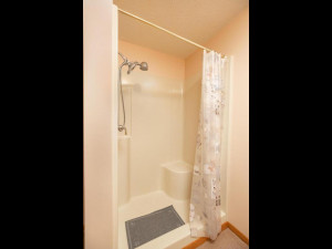 Photo for 9305 80th Avenue SE, Chatfield, MN 55923 - Listing #5697937 9305 80th Ave SE Chatfield MN-054-055-Bathroom-MLS_Size