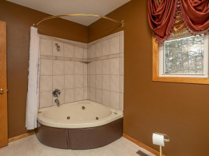Photo for 9305 80th Avenue SE, Chatfield, MN 55923 - Listing #5697937 9305 80th Ave SE Chatfield MN-041-043-Bathroom-MLS_Size