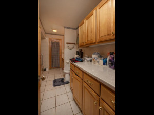 Photo for 7606 100th Street NW, Pine Island, MN 55963 - Listing #5699310 7606 100th St NW Pine Island-035-025-Bathroom-MLS_Size