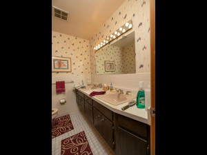 Photo for 7606 100th Street NW, Pine Island, MN 55963 - Listing #5699310 7606 100th St NW Pine Island-033-020-Bathroom-MLS_Size