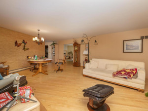 Photo for 7606 100th Street NW, Pine Island, MN 55963 - Listing #5699310 7606 100th St NW Pine Island-016-016-Living Room-MLS_Size