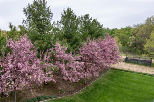 Photo for 4770 Mayo Woodlands Road SW, Rochester, MN 55902 - Listing #5706603 4770 Mayo Woodlands Road SW, Rochester, MN 55902