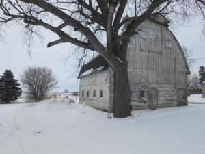 Photo for 205 Center Street, Ostrander, MN 55961 - Listing #5707745 205 Center Street, Ostrander, MN 55961