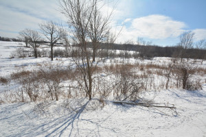 Photo for 40 Acres Hwy 29, Spring Valley, WI - Listing #5709511 40 Acres Hwy 29, Spring Valley, WI