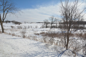 Photo for 40 Acres Hwy 29, Spring Valley, WI - Listing #5709511 40 Acres Hwy 29, Spring Valley, WI