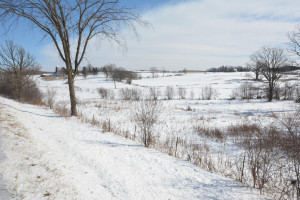 Photo for 40 Acres Hwy 29, Spring Valley, WI - Listing #5709511 40 Acres Hwy 29, Spring Valley, WI