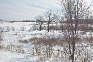 Photo for 40 Acres Hwy 29, Spring Valley, WI - Listing #5709511 40 Acres Hwy 29, Spring Valley, WI