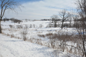 Photo for 40 Acres Hwy 29, Spring Valley, WI - Listing #5709511 40 Acres Hwy 29, Spring Valley, WI