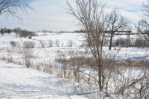 Photo for 40 Acres Hwy 29, Spring Valley, WI - Listing #5709511 40 Acres Hwy 29, Spring Valley, WI