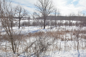 Photo for 40 Acres Hwy 29, Spring Valley, WI - Listing #5709511 40 Acres Hwy 29, Spring Valley, WI