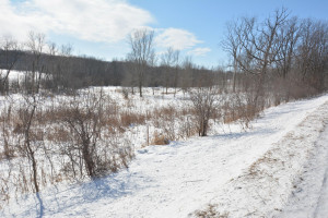 Photo for 40 Acres Hwy 29, Spring Valley, WI - Listing #5709511 40 Acres Hwy 29, Spring Valley, WI