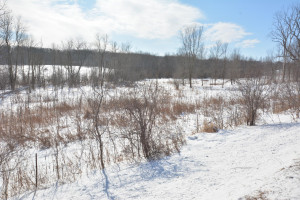 Photo for 40 Acres Hwy 29, Spring Valley, WI - Listing #5709511 40 Acres Hwy 29, Spring Valley, WI