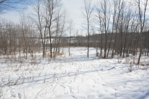 Photo for 40 Acres Hwy 29, Spring Valley, WI - Listing #5709511 40 Acres Hwy 29, Spring Valley, WI