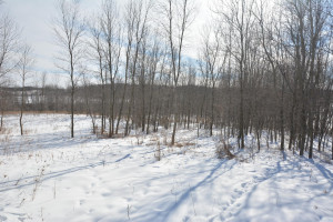 Photo for 40 Acres Hwy 29, Spring Valley, WI - Listing #5709511 40 Acres Hwy 29, Spring Valley, WI