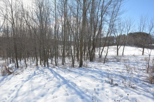 Photo for 40 Acres Hwy 29, Spring Valley, WI - Listing #5709511 40 Acres Hwy 29, Spring Valley, WI