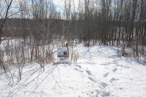 Photo for 40 Acres Hwy 29, Spring Valley, WI - Listing #5709511 40 Acres Hwy 29, Spring Valley, WI