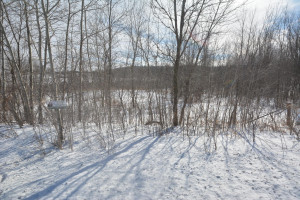 Photo for 40 Acres Hwy 29, Spring Valley, WI - Listing #5709511 40 Acres Hwy 29, Spring Valley, WI