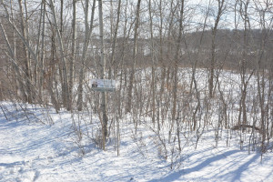 Photo for 40 Acres Hwy 29, Spring Valley, WI - Listing #5709511 40 Acres Hwy 29, Spring Valley, WI