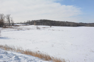 Photo for 35 Acres County Road CC, Spring Valley, WI - Listing #5709522 35 Acres County Road CC, Spring Valley, WI