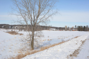 Photo for 35 Acres County Road CC, Spring Valley, WI - Listing #5709522 35 Acres County Road CC, Spring Valley, WI