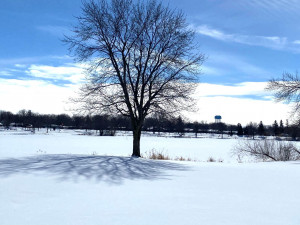 Photo for 806 15th Street NE, Austin, MN 55912 - Listing #5713456 806 15th Street NE, Austin, MN 55912