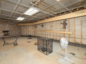 Photo for 7606 100th Street NW, Pine Island, MN 55963 - Listing #5699310 7606 100th St NW Pine Island-048-053-Lower Level-MLS_Size