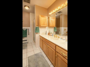 Photo for 7606 100th Street NW, Pine Island, MN 55963 - Listing #5699310 7606 100th St NW Pine Island-037-070-Master Bath-MLS_Size