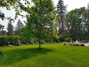 Photo for 601 6th Avenue SW, Austin, MN 55912 - Listing #5721709 601 6th Avenue SW, Austin, MN 55912