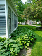 Photo for 601 6th Avenue SW, Austin, MN 55912 - Listing #5721709 601 6th Avenue SW, Austin, MN 55912