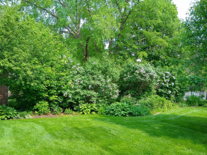 Photo for 601 6th Avenue SW, Austin, MN 55912 - Listing #5721709 601 6th Avenue SW, Austin, MN 55912