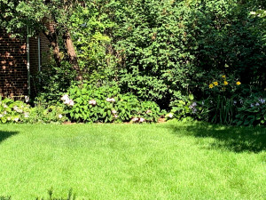 Photo for 601 6th Avenue SW, Austin, MN 55912 - Listing #5721709 601 6th Avenue SW, Austin, MN 55912