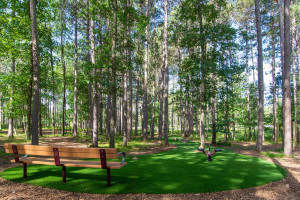 Photo for TBD Twinleaf Circle, Nisswa, MN 56468 - Listing #5730643 TBD Twinleaf Circle, Nisswa, MN 56468
