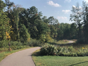Photo for TBD Twinleaf Circle, Nisswa, MN 56468 - Listing #5730643 One ot the entrances to the Paul Bunyan Trail
