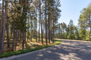 Photo for TBD Twinleaf Circle, Nisswa, MN 56468 - Listing #5730643 TBD Twinleaf Circle, Nisswa, MN 56468