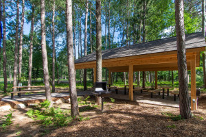 Photo for TBD Twinleaf Circle, Nisswa, MN 56468 - Listing #5730643 TBD Twinleaf Circle, Nisswa, MN 56468