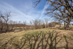 Photo for 33381 State Hwy 16, Lanesboro, MN 55949 - Listing #5731603 33381 State Hwy 16, Lanesboro, MN 55949