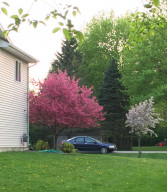 Photo for 1503 17th Drive SW, Austin, MN 55912 - Listing #5730039 1503 17th Drive SW, Austin, MN 55912