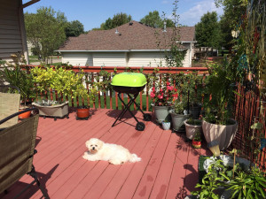 Photo for 1503 17th Drive SW, Austin, MN 55912 - Listing #5730039 1503 17th Drive SW, Austin, MN 55912