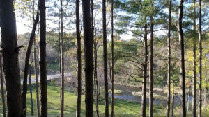 Photo for 535 770th Avenue, Spring Valley, WI - Listing #5735061 535 770th Avenue, Spring Valley, WI