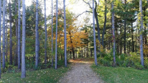 Photo for 535 770th Avenue, Spring Valley, WI - Listing #5735061 535 770th Avenue, Spring Valley, WI