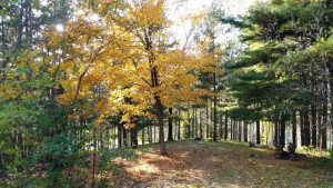 Photo for 535 770th Avenue, Spring Valley, WI - Listing #5735061 535 770th Avenue, Spring Valley, WI