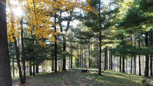 Photo for 535 770th Avenue, Spring Valley, WI - Listing #5735061 535 770th Avenue, Spring Valley, WI