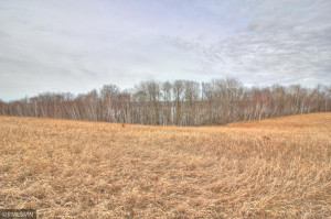 Photo for XXX 709th Street, Lake City, MN 55041 - Listing #5730038 XXX 709th Street, Lake City, MN 55041