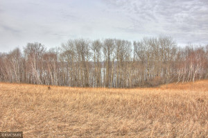 Photo for XXX 709th Street, Lake City, MN 55041 - Listing #5730038 XXX 709th Street, Lake City, MN 55041