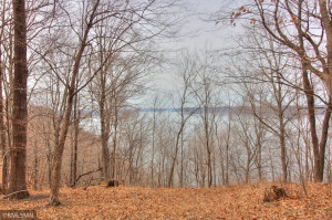 Photo for XXX 709th Street, Lake City, MN 55041 - Listing #5730038 XXX 709th Street, Lake City, MN 55041