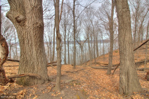 Photo for XXX 709th Street, Lake City, MN 55041 - Listing #5730038 XXX 709th Street, Lake City, MN 55041