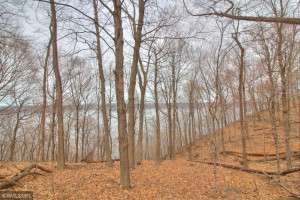 Photo for XXX 709th Street, Lake City, MN 55041 - Listing #5730038 XXX 709th Street, Lake City, MN 55041