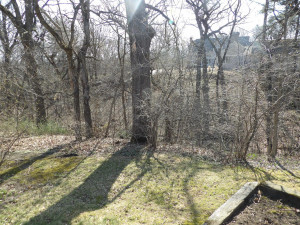 Photo for 410 36th Street NW, Austin, MN 55912 - Listing #5726704 410 36th Street NW, Austin, MN 55912